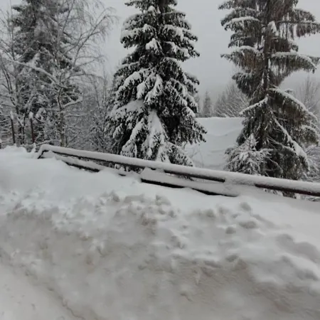 Chalet Sovicka